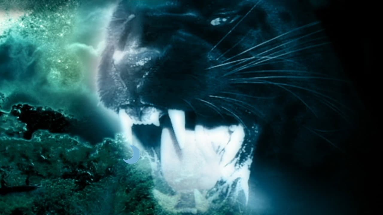 La pantera assassina - immagine