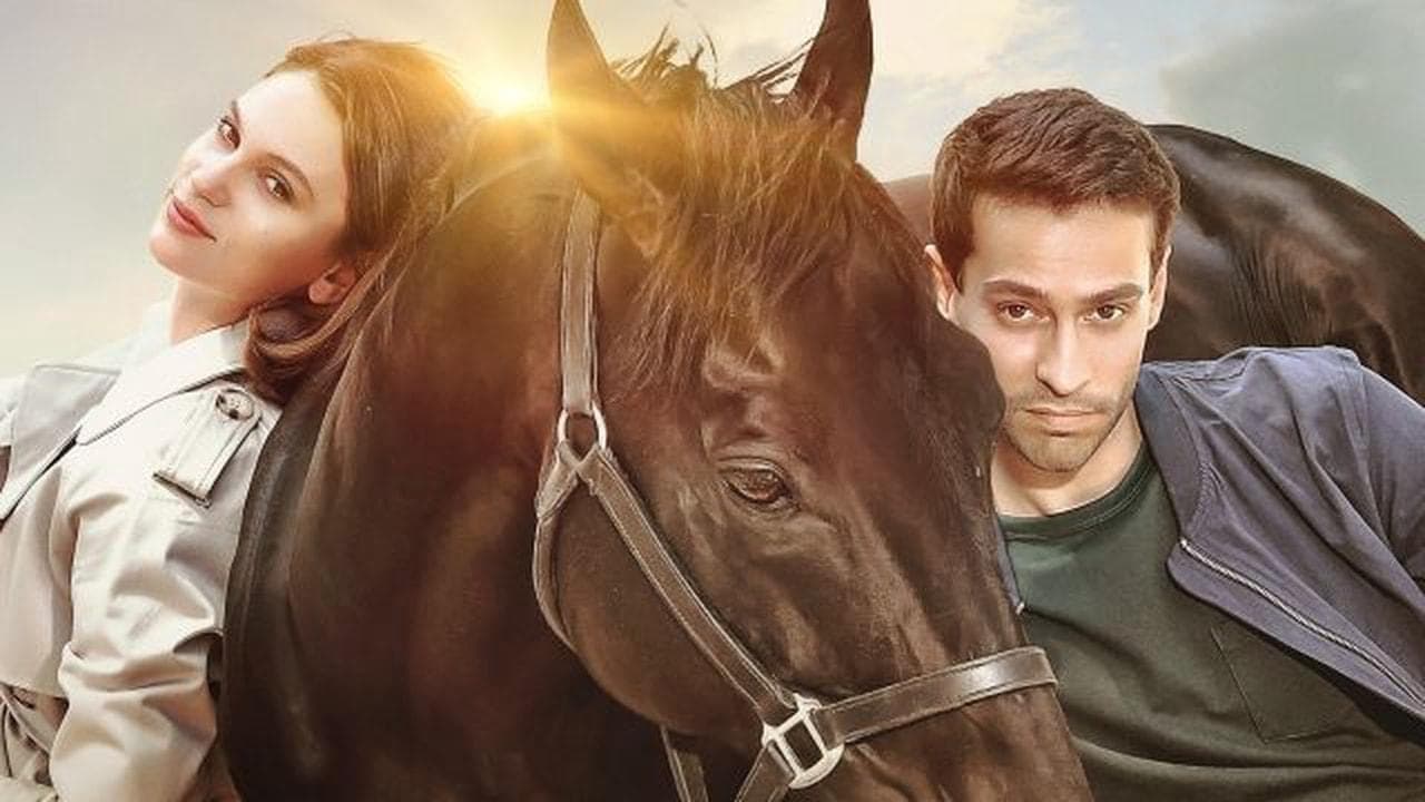 Bold Pilot - Leggenda di un campione - immagine