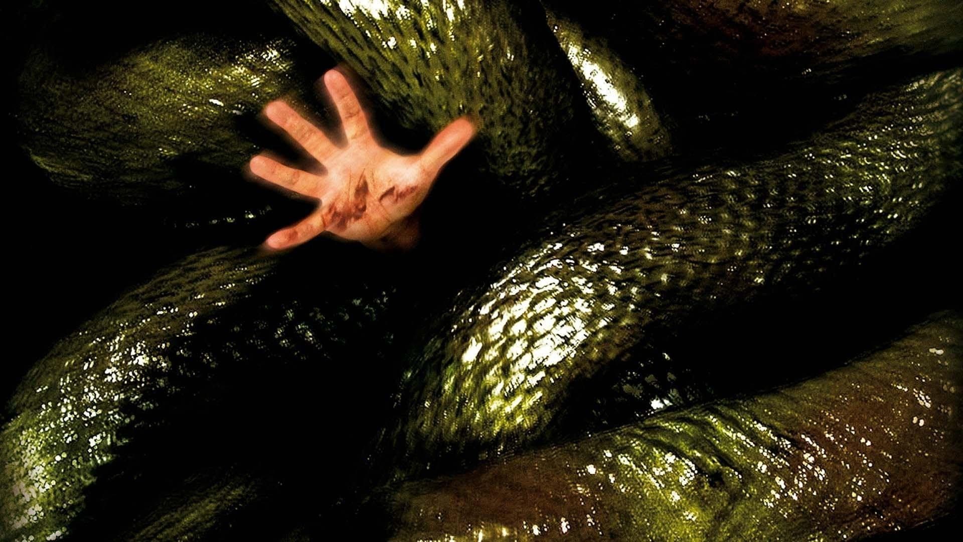 Anaconda  - Alla ricerca dell'orchidea maledetta - immagine