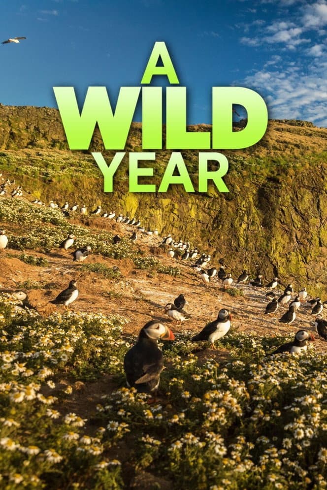 Poster di A Wild Year