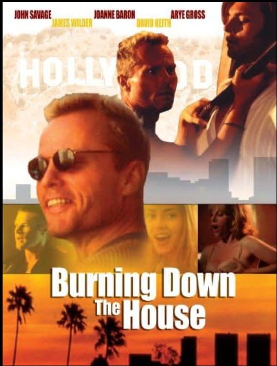Poster di Burning Down the House