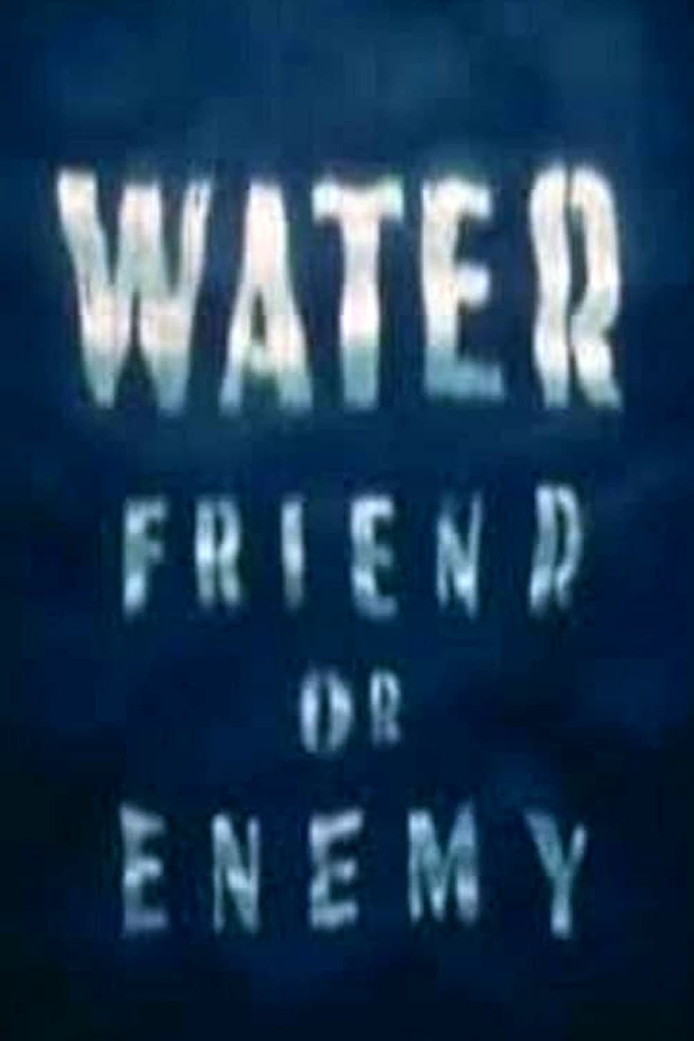 Poster di Water: Friend or Enemy