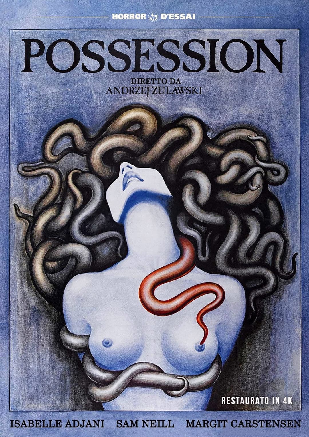 Poster di Possession