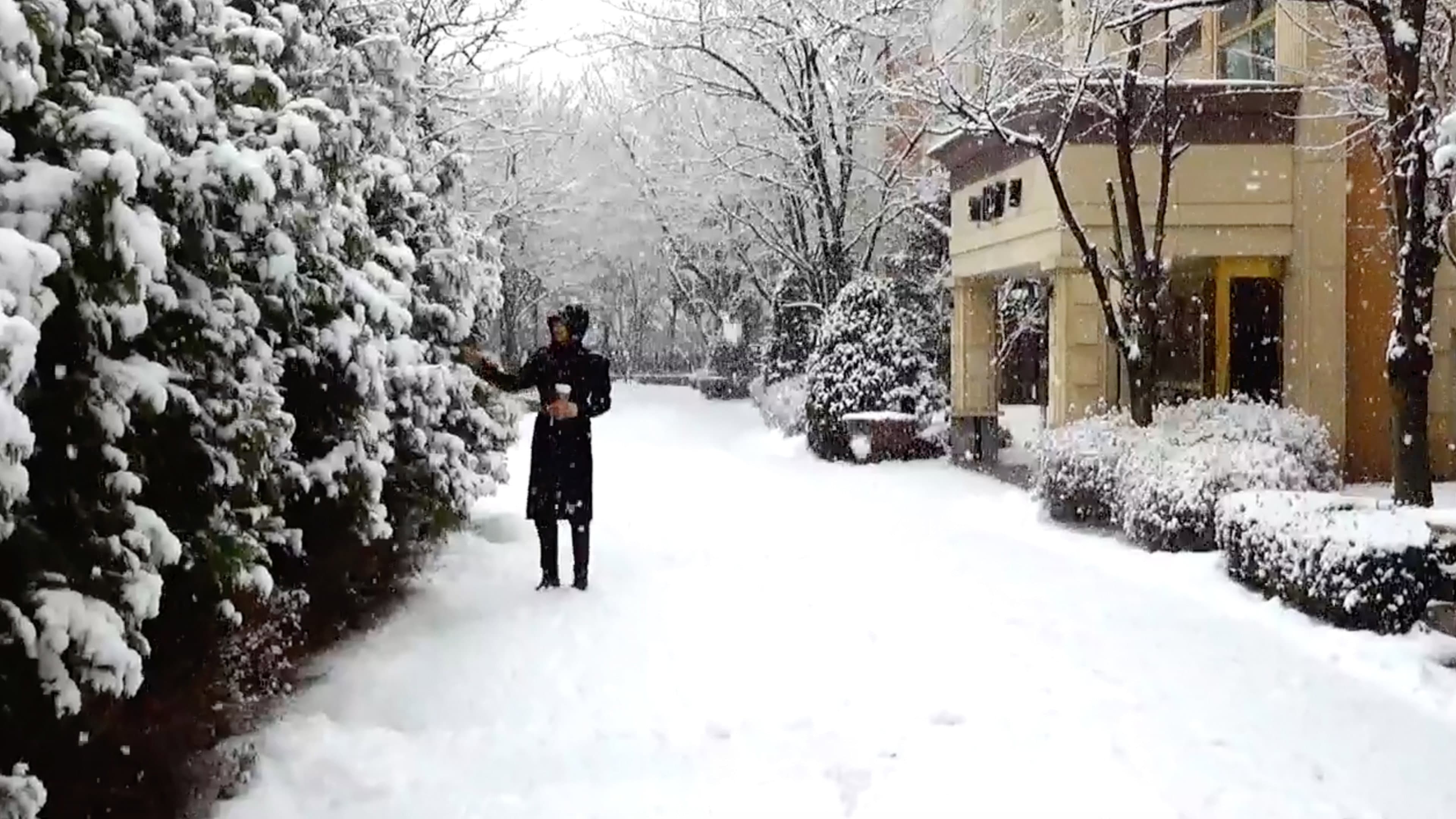 It Snows on You - immagine
