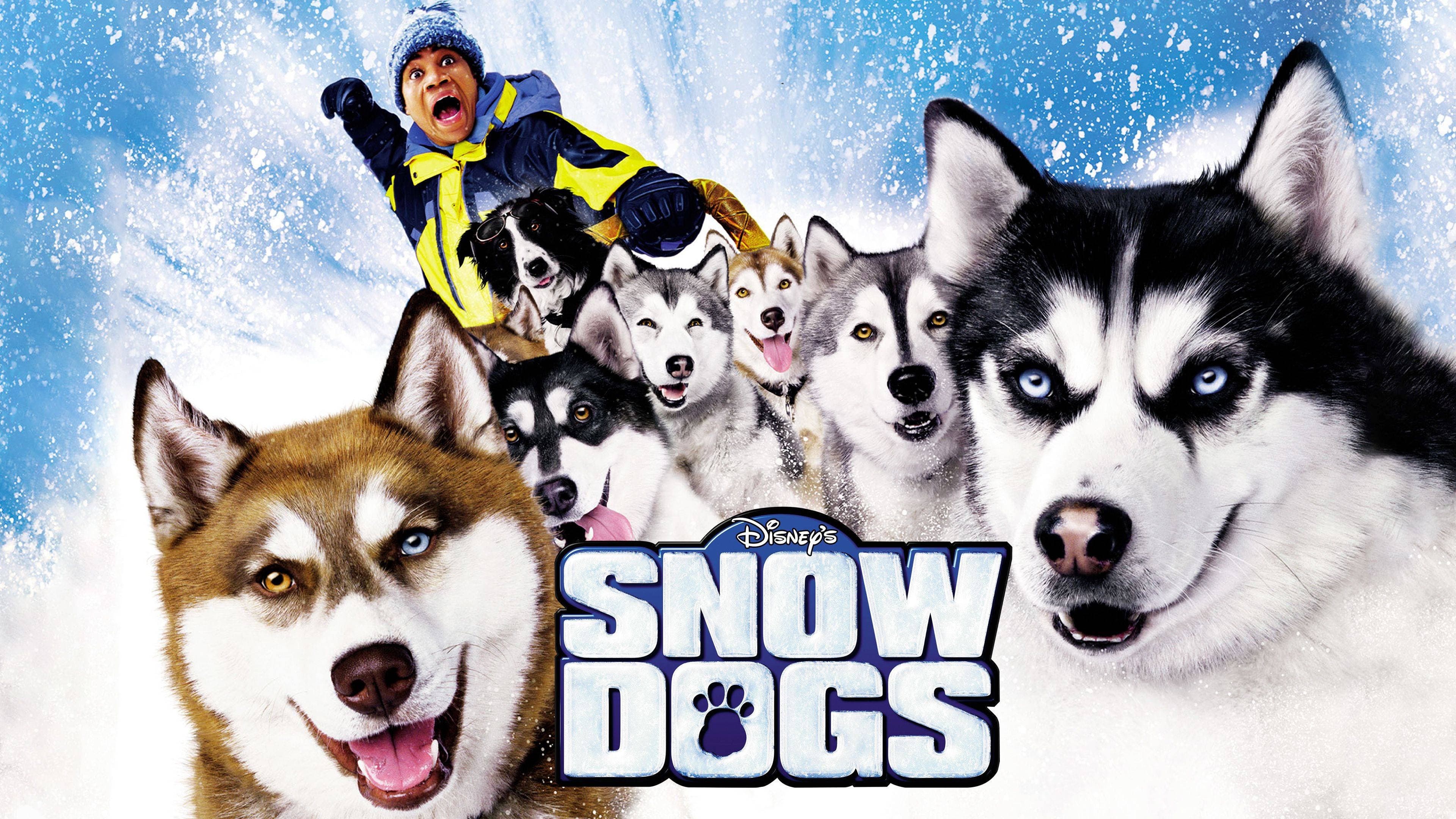 Snow Dogs - 8 cani sotto zero - immagine