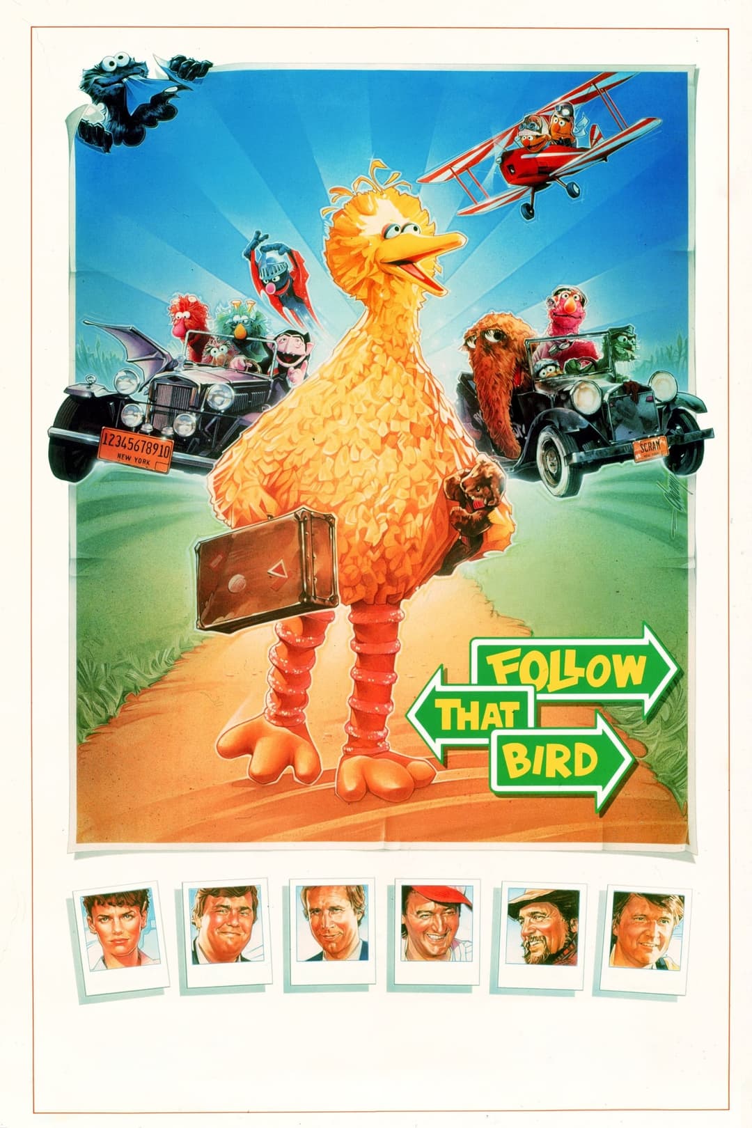 Poster di Follow That Bird