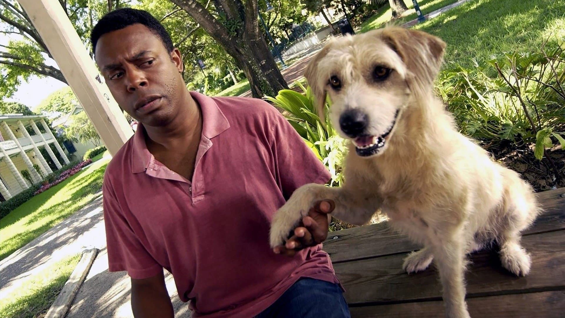 Lenny The Wonder Dog - immagine
