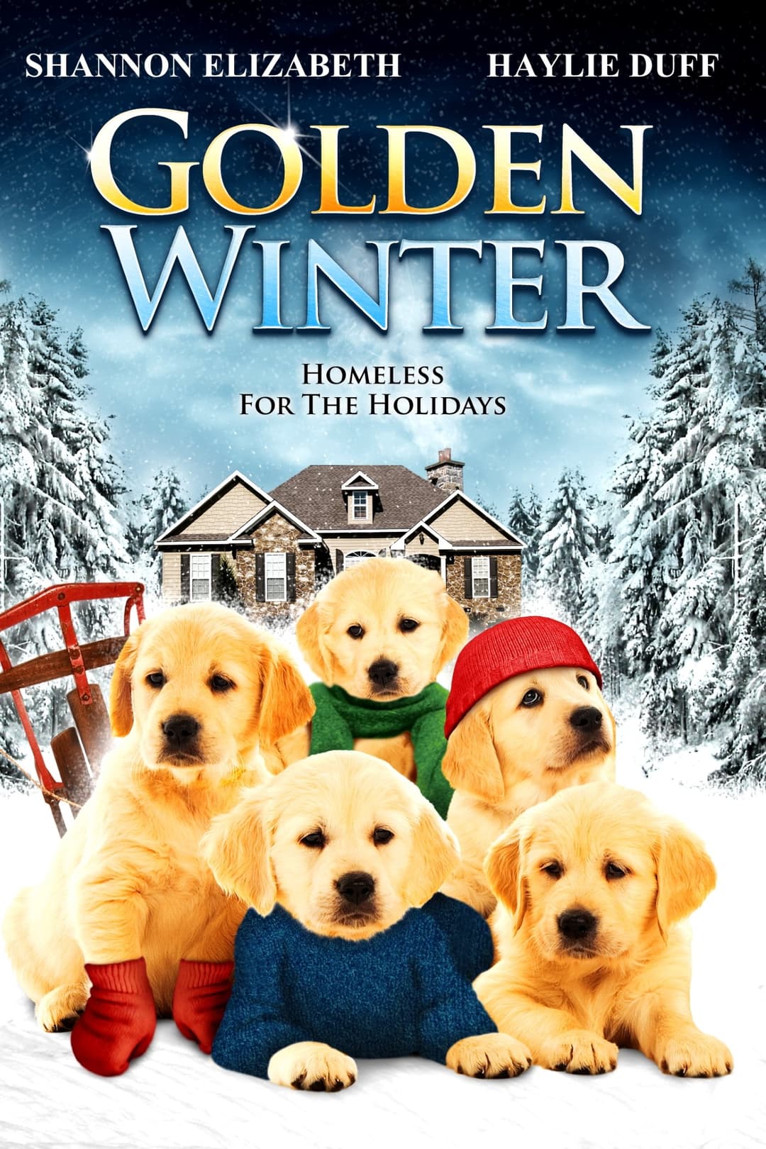 Poster di Golden Winter