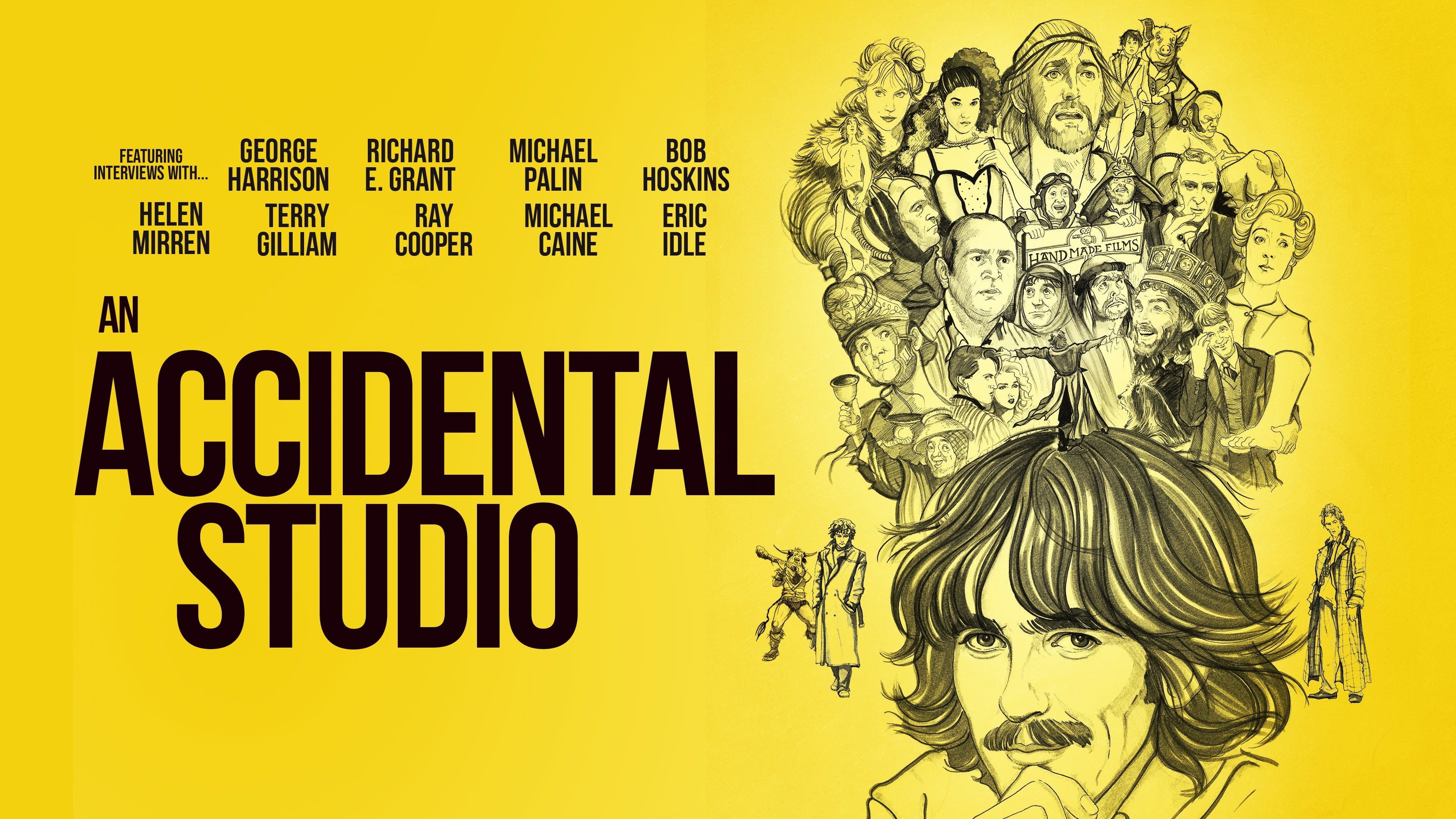 An Accidental Studio - immagine