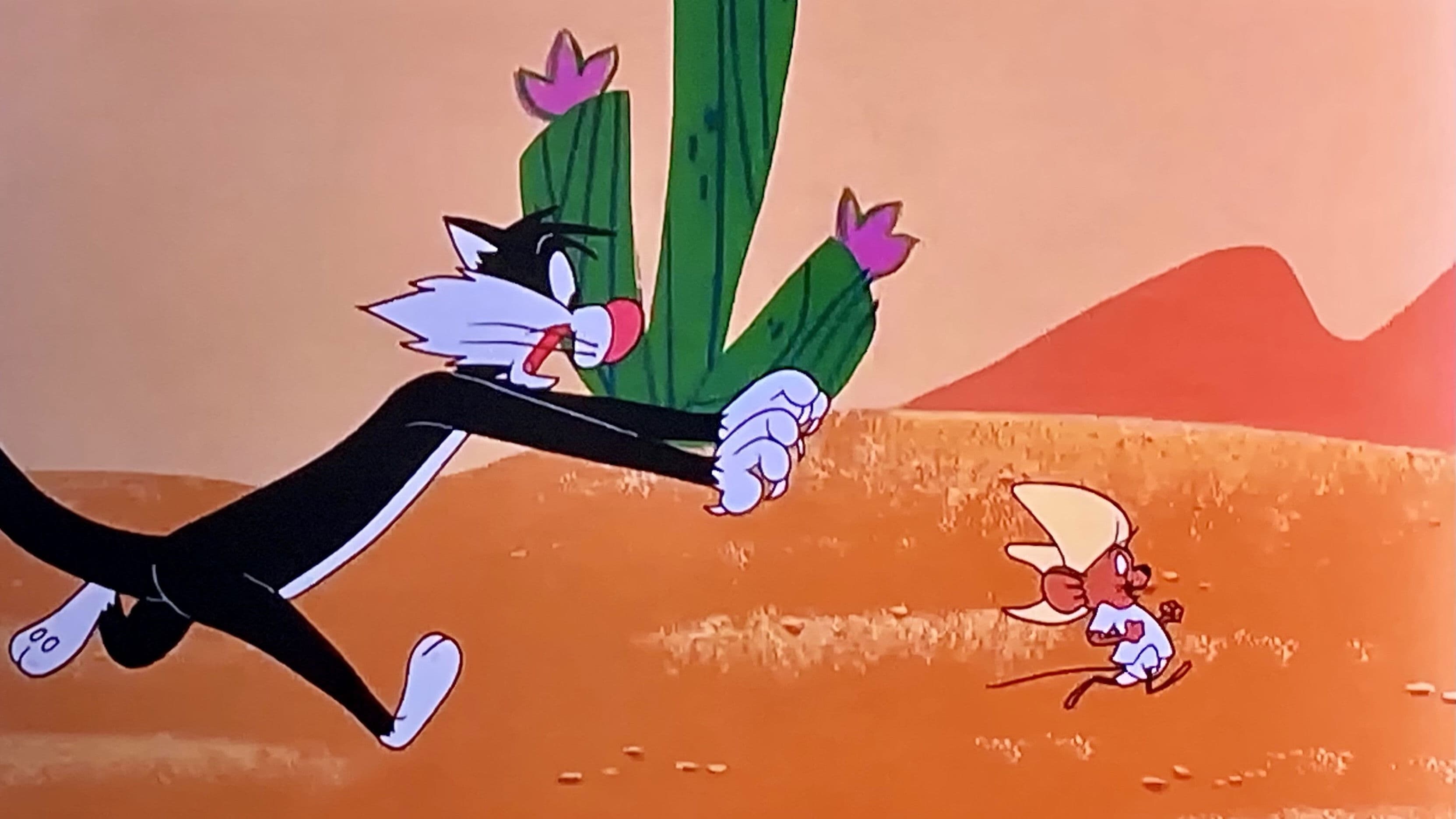 Un falco da caccia - immagine