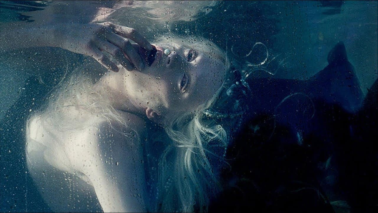 The Muse - immagine