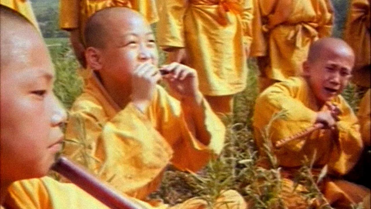 少林十八銅人 - immagine