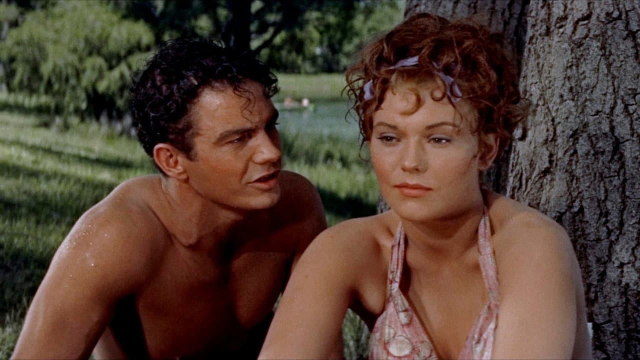 Picnic - immagine
