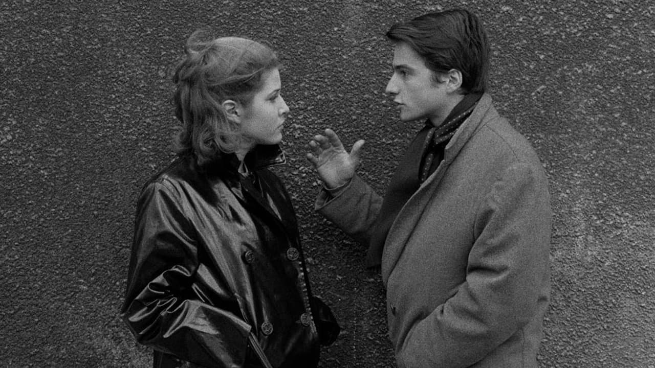 Il maschio e la femmina - immagine