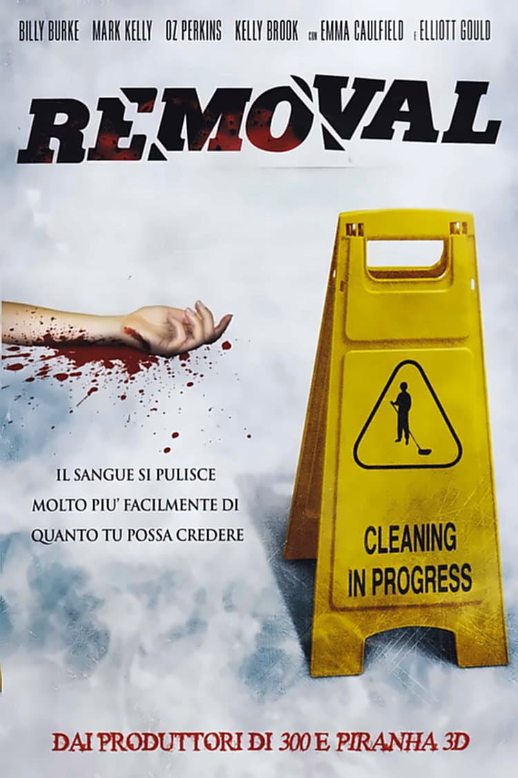 Poster di Removal