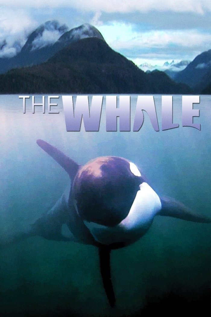 Poster di The Whale