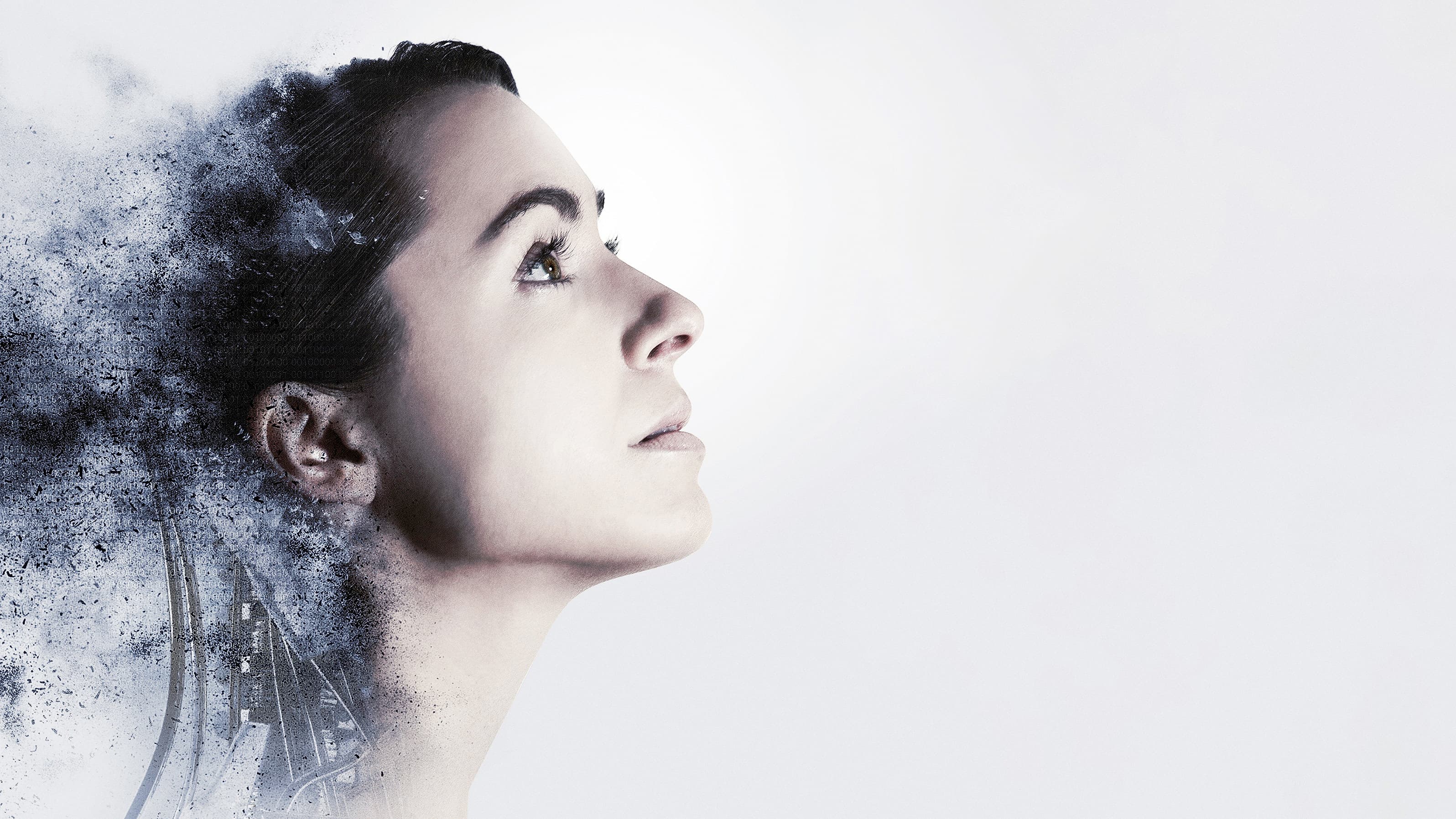 Amelia 2.0 - immagine