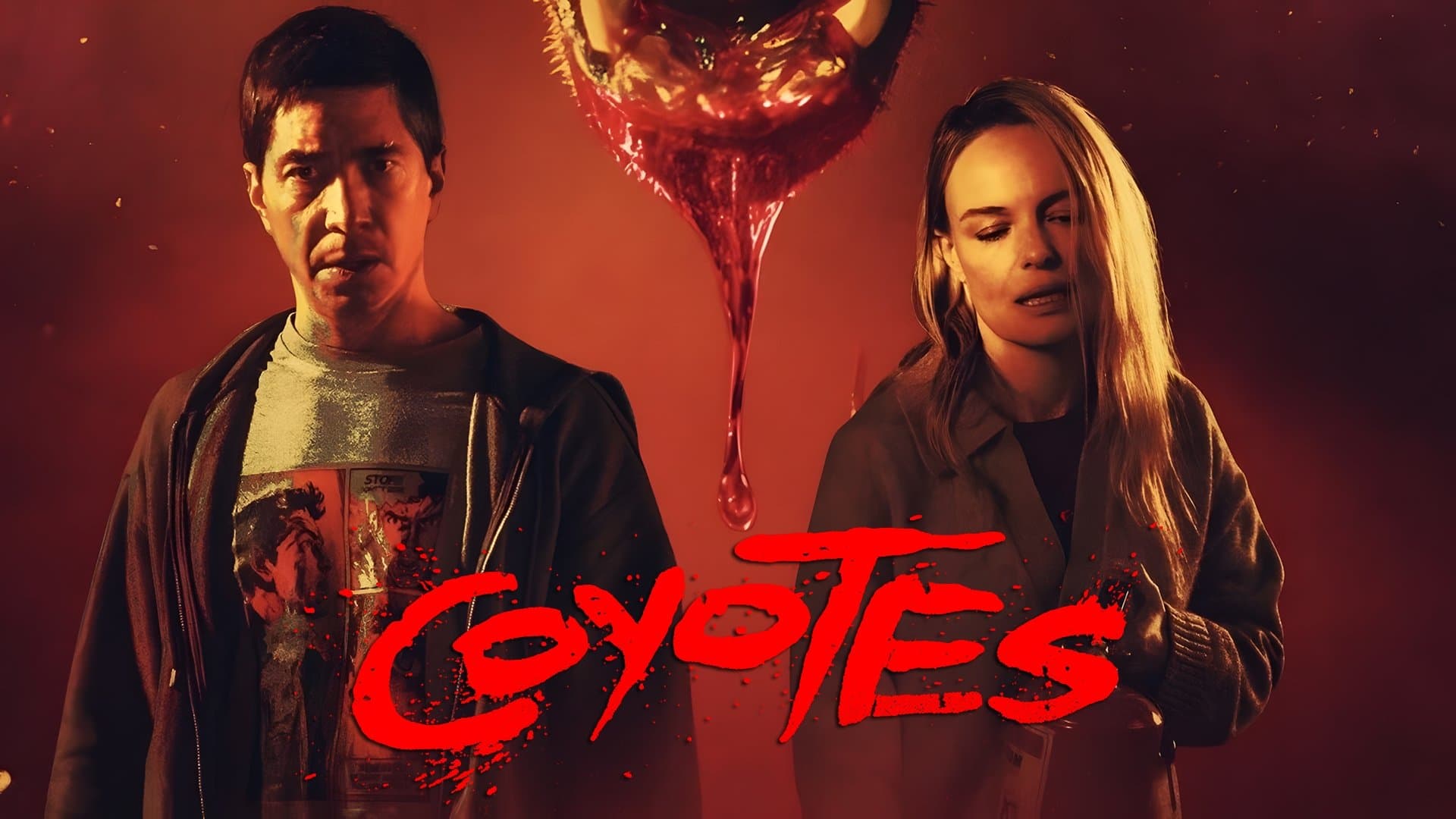 Coyotes - immagine