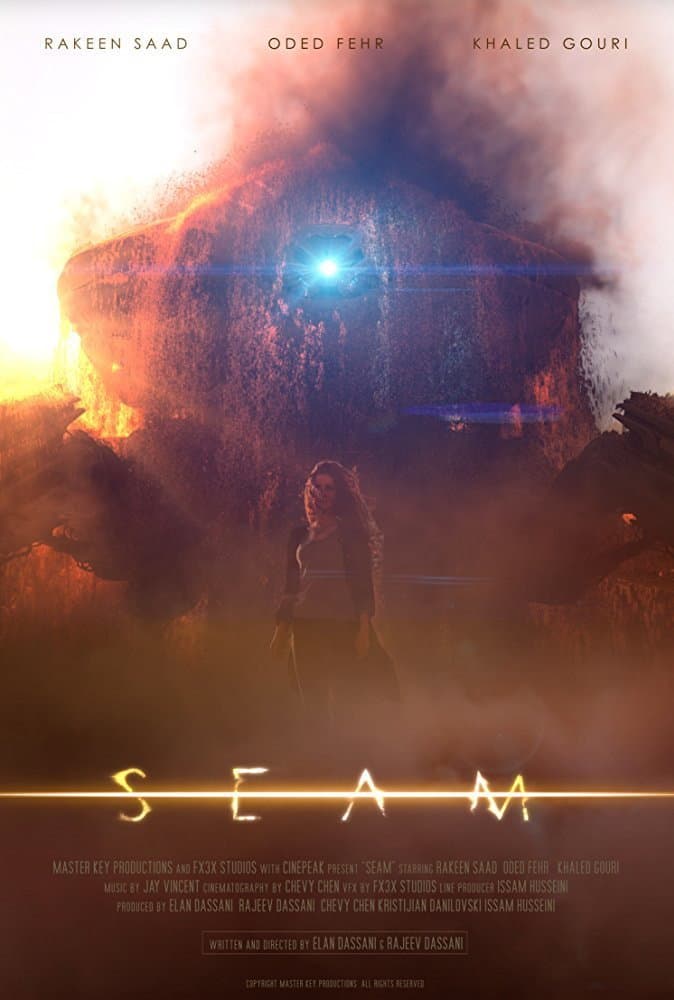 Poster di Seam