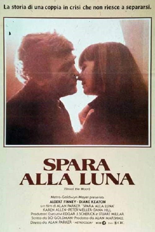 Poster di Spara alla luna
