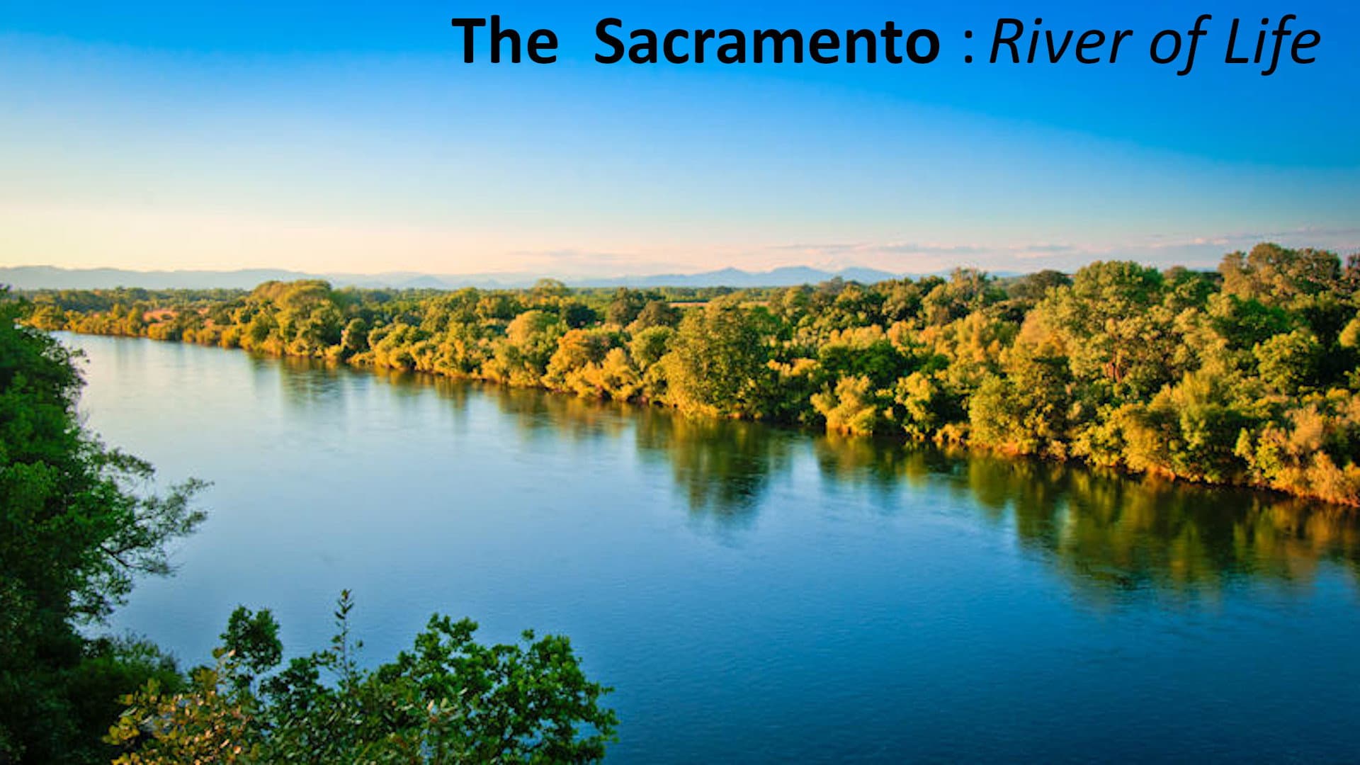 The Sacramento River of Life - immagine