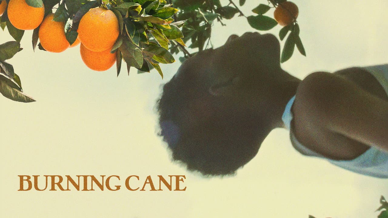 Burning Cane - immagine