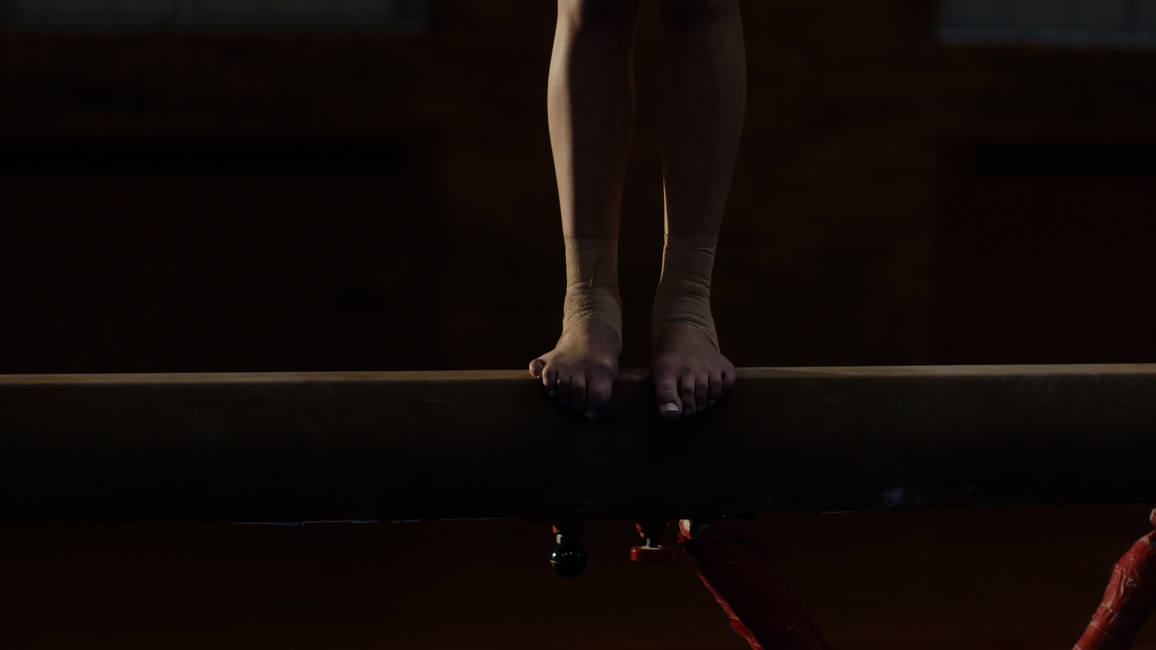 The Gymnast - immagine