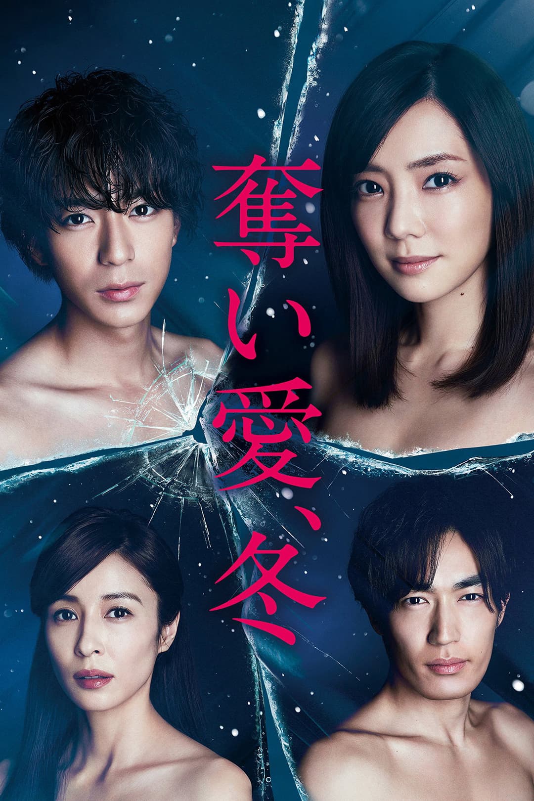 Poster di 奪い愛、冬