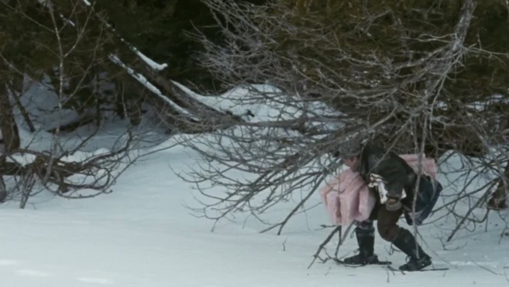 Whitewash - immagine