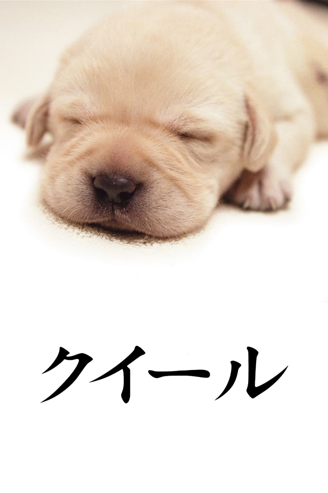 Poster di クイール
