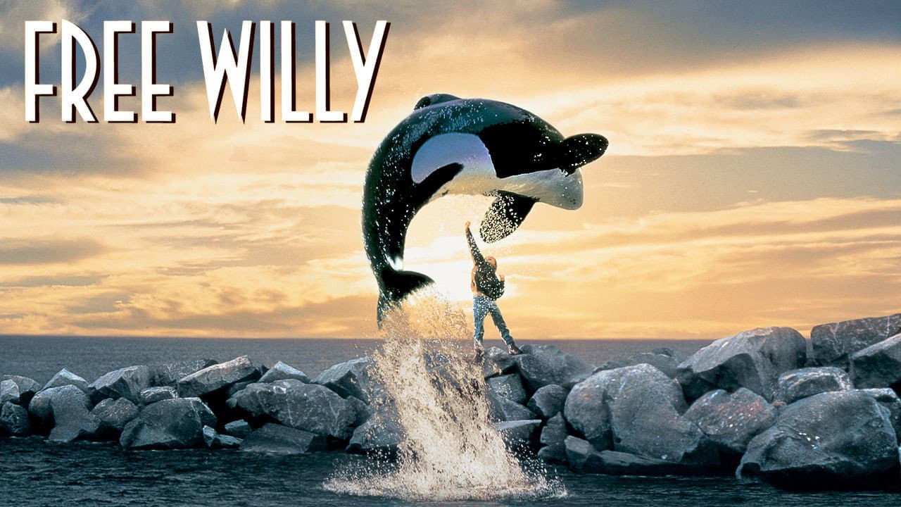 Free Willy - Un amico da salvare - immagine