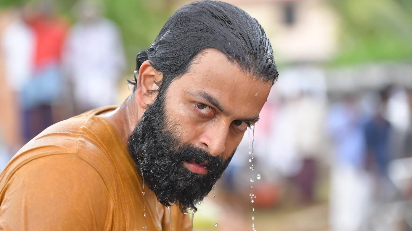 അയ്യപ്പനും കോശിയും - immagine