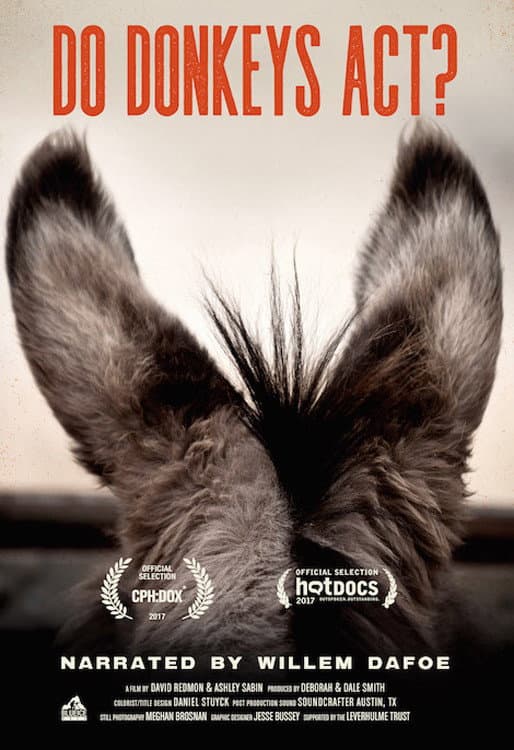 Poster di Sanctuary