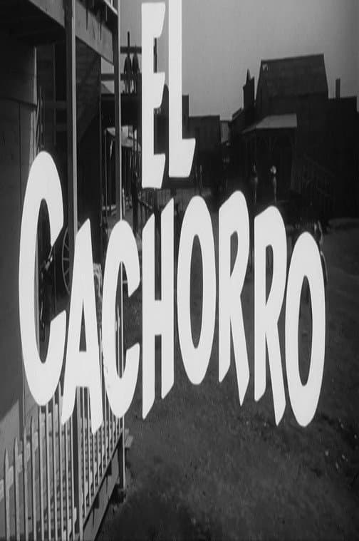 Poster di El cachorro