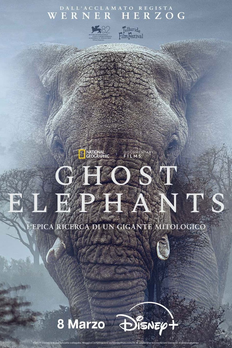 Poster di Ghost Elephants