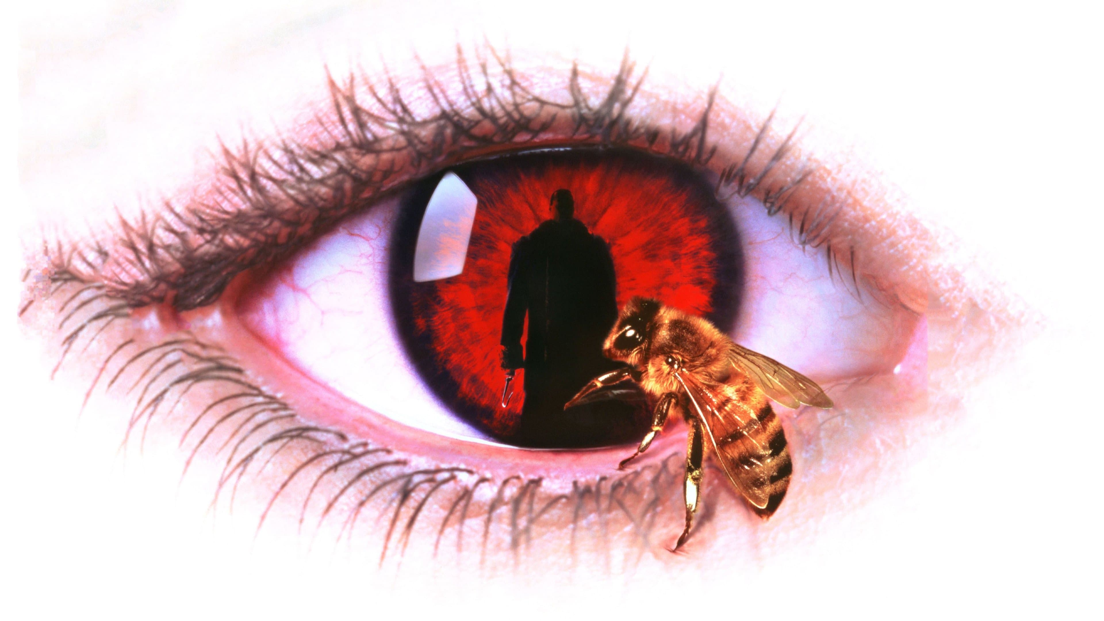 Candyman - Terrore dietro lo specchio - immagine