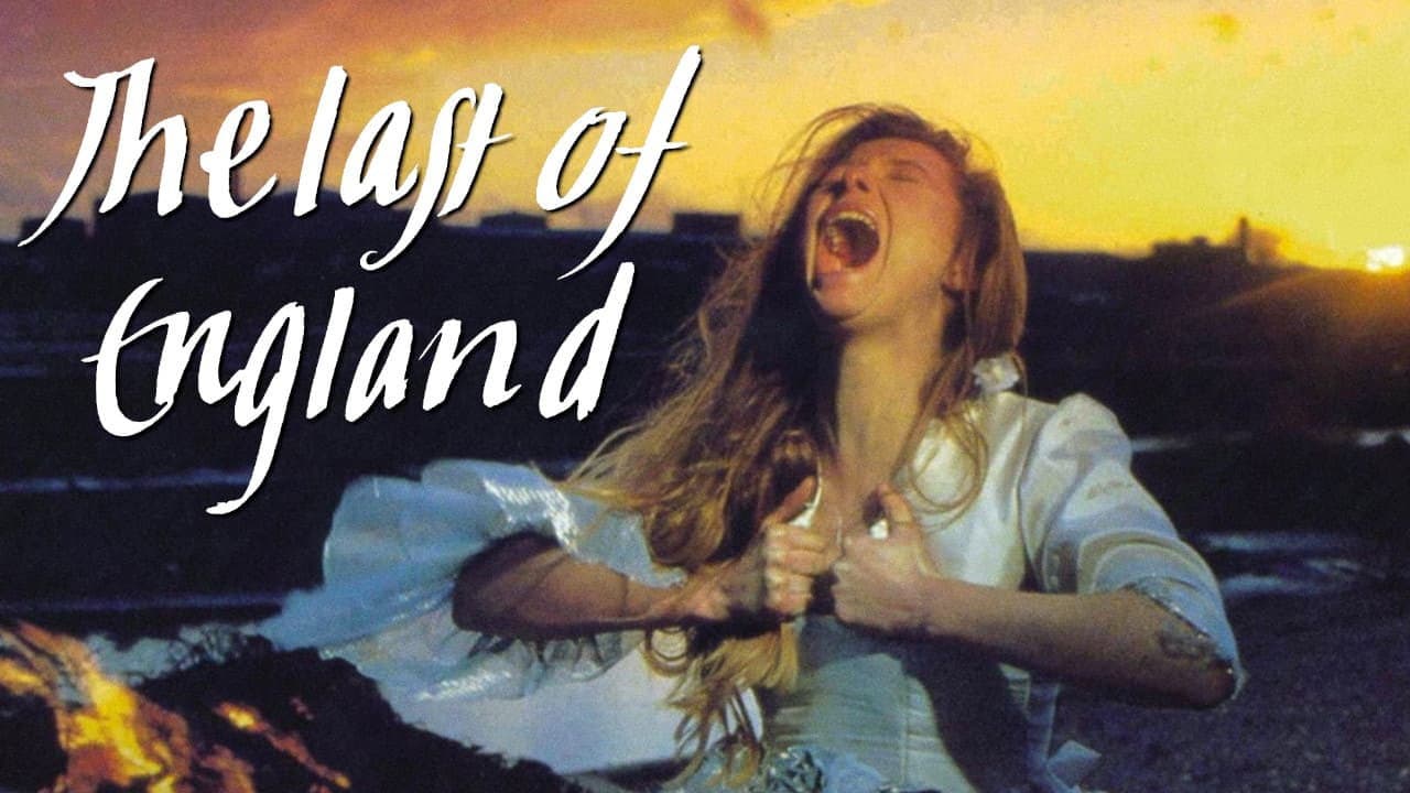 The Last of England - immagine