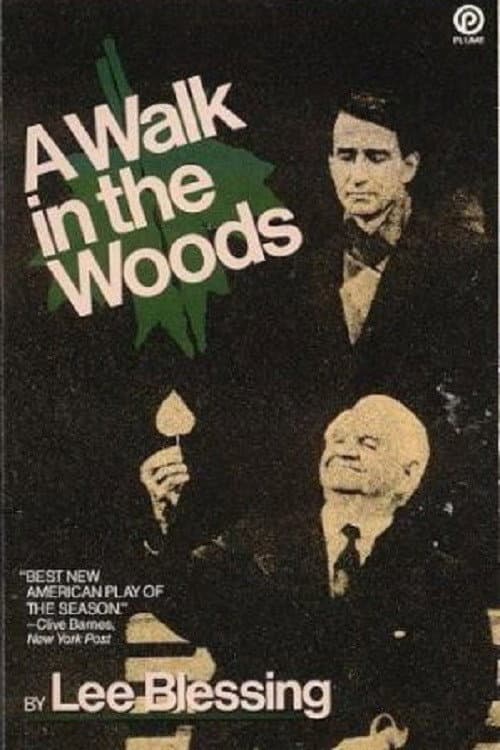 Poster di A Walk in the Woods