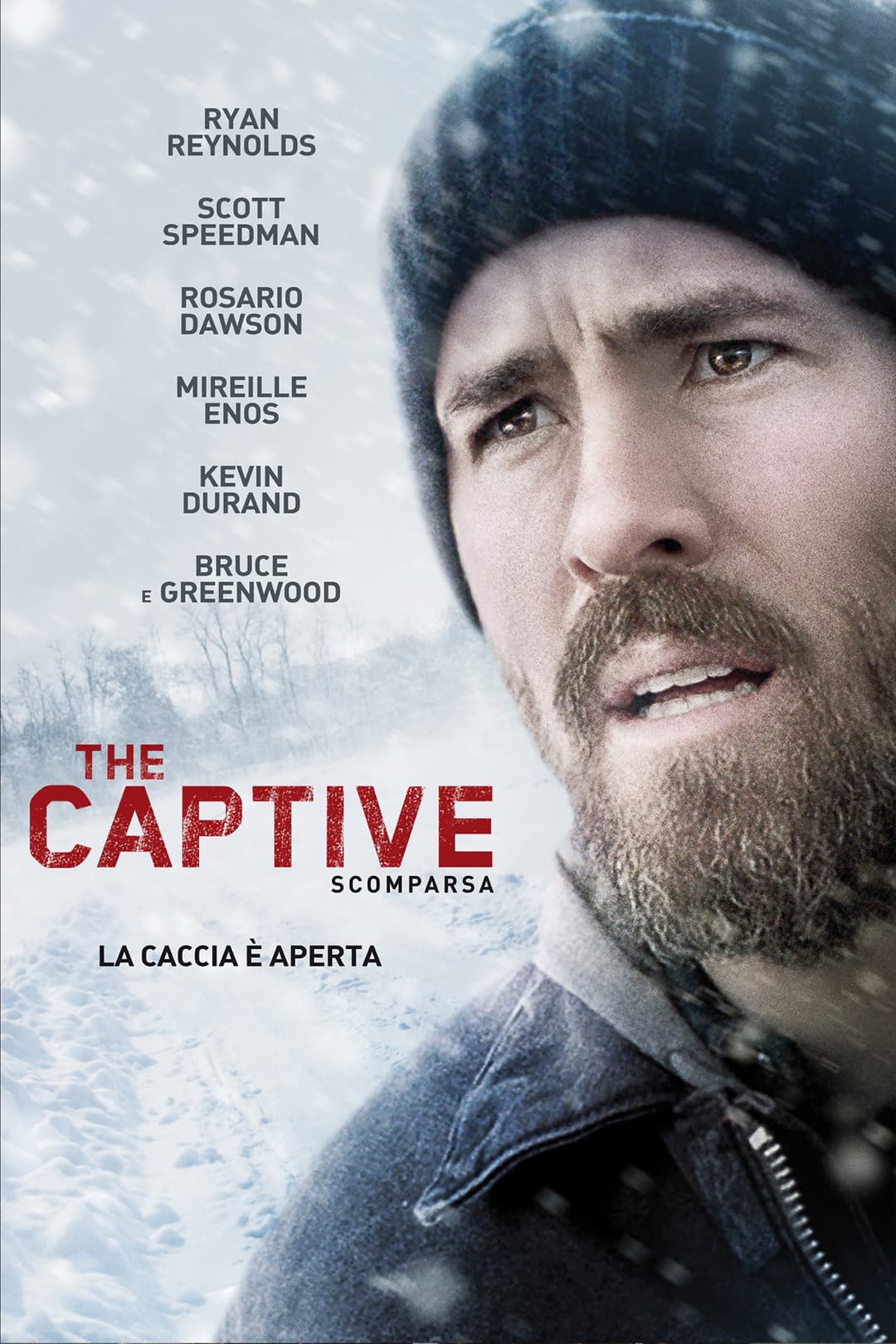 Poster di The Captive: Scomparsa