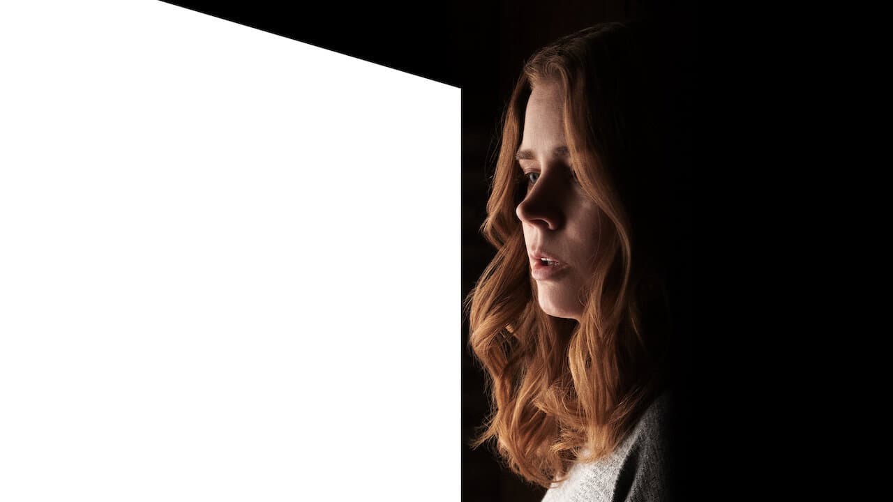 La donna alla finestra - immagine