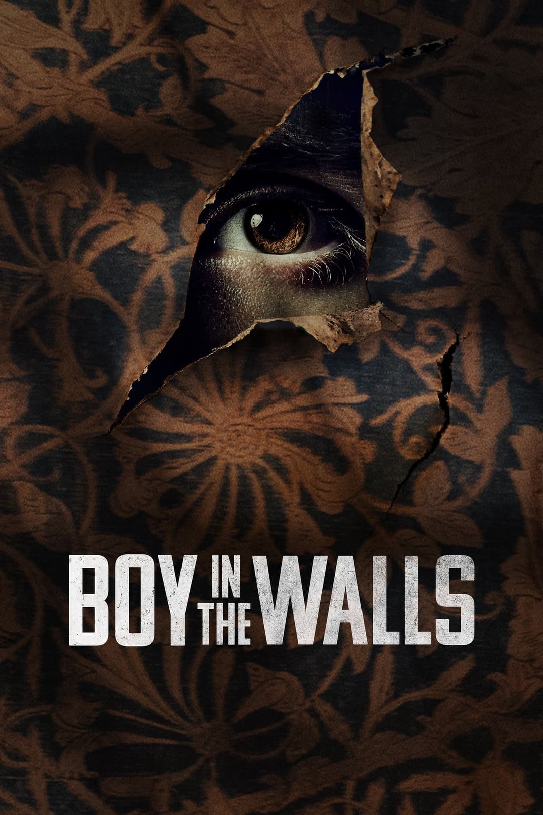 Poster di Boy in the Walls