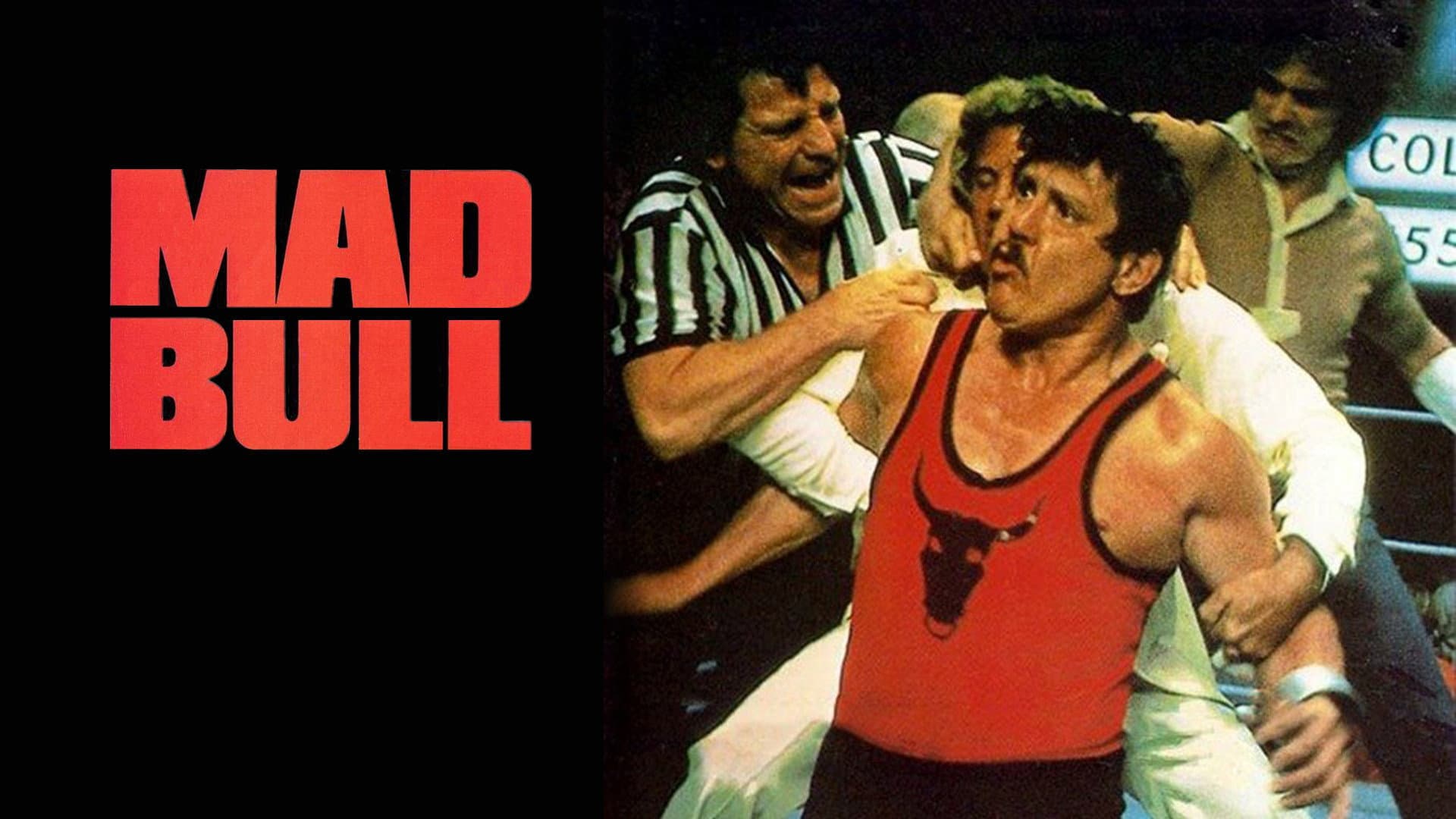 Mad Bull - immagine