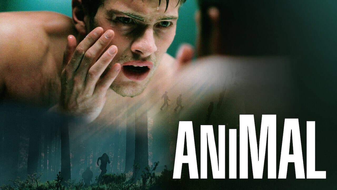 Animal - immagine