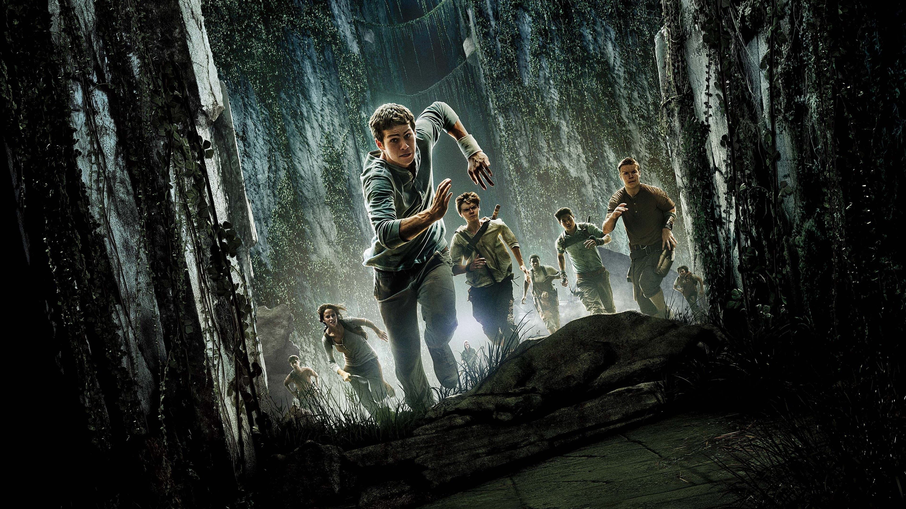 Maze Runner - Il labirinto - immagine