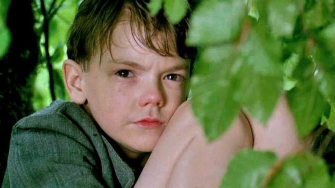 Il segreto di Thomas - immagine