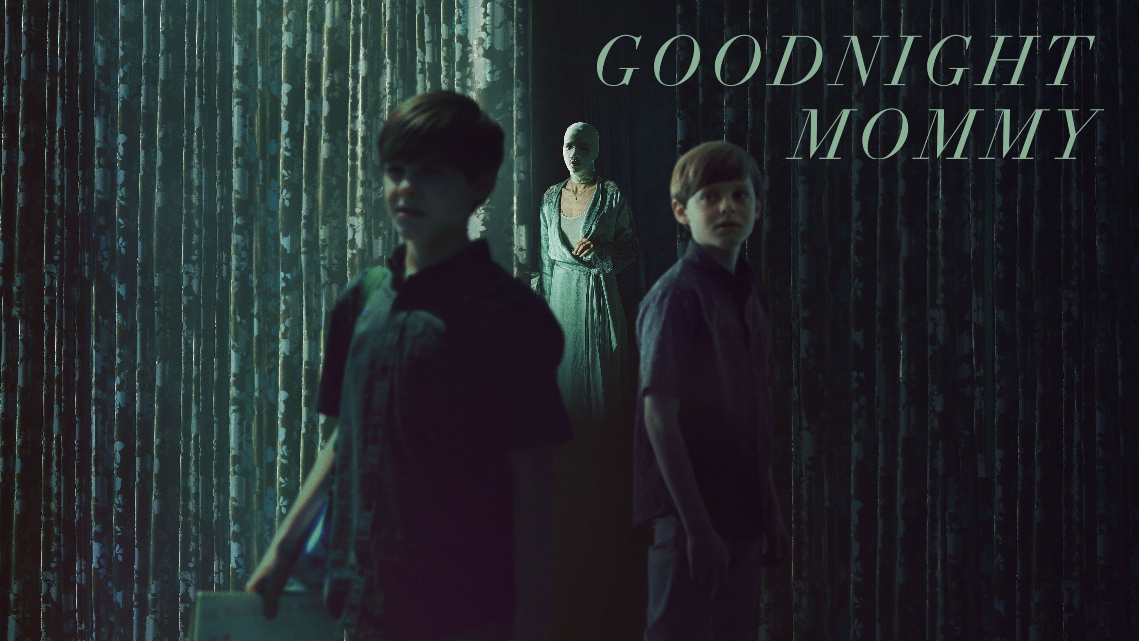 Goodnight Mommy - immagine