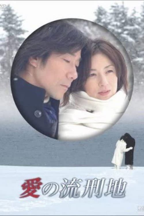 Poster di 愛の流刑地