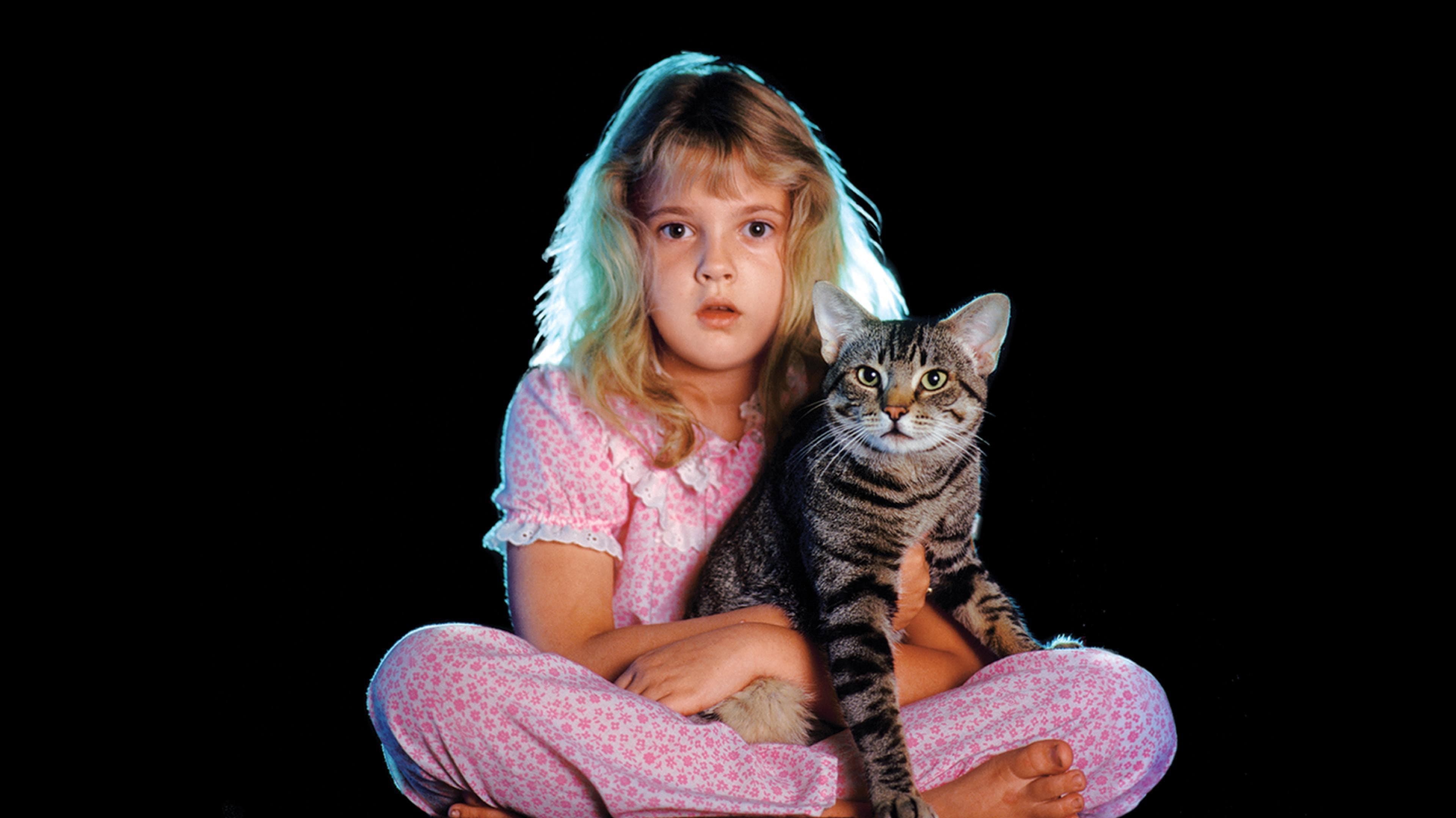 L'occhio del gatto - immagine