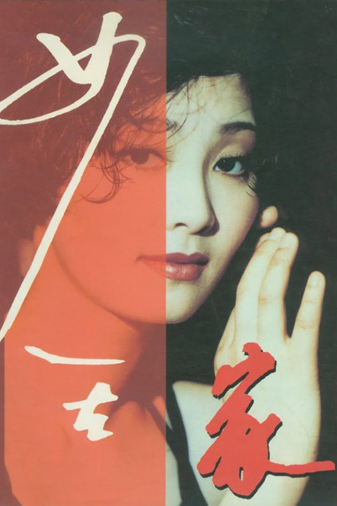 Poster di 女人在家