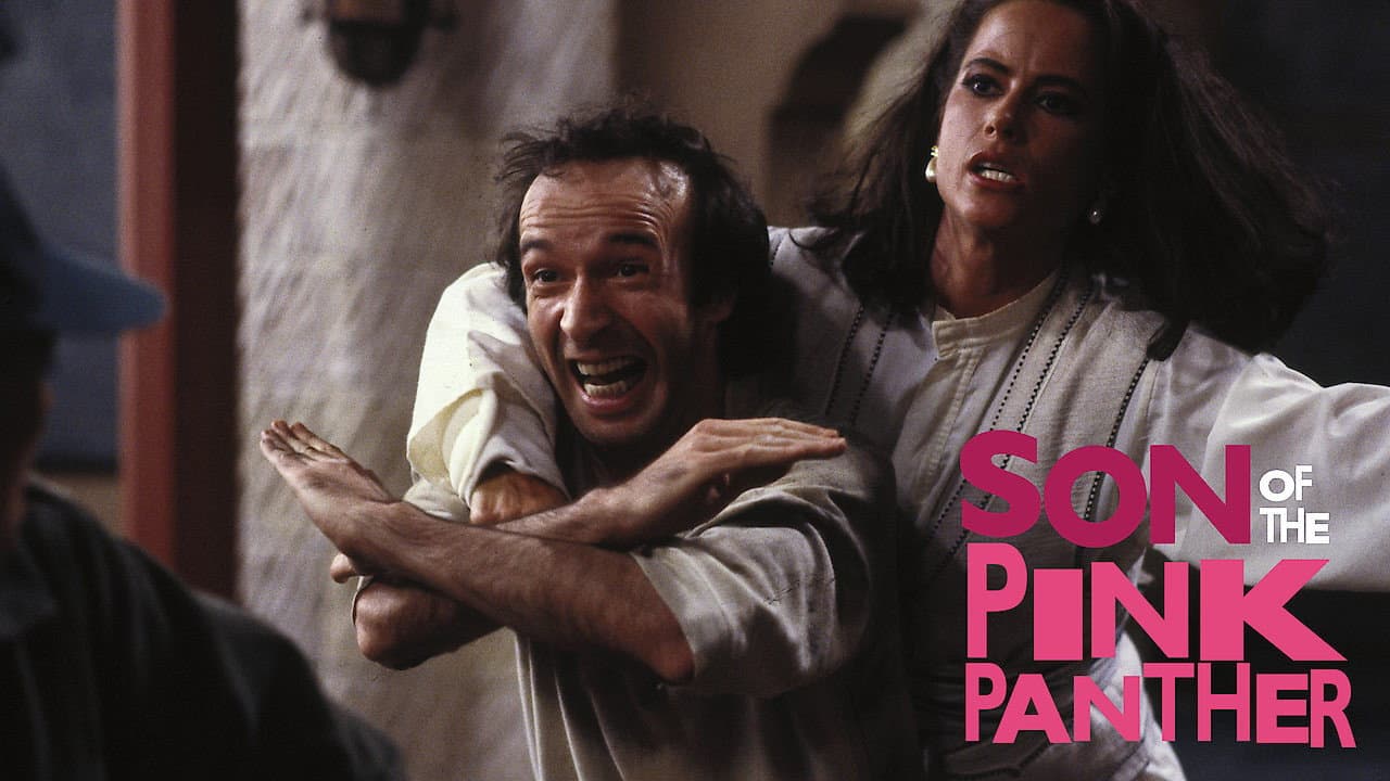 Il figlio della Pantera Rosa - immagine